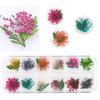 SYBF Nail Dried Flowers,2 Boxes 3D Dry Flowers Nail Stickers Nail Art Supplies Mini Real Natural Flowers Applique Nail Decoration Sticker for Tips Manicure Decor ( Starry , Leaves and Five Flower) view 3