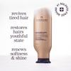 Pureology Nanoworks Gold Conditioner | For Very Dry, Color-Treated Hair | Restores & Strengthens Hair | Sulfate-Free | Vegan | Updated Packaging | 33.8 Fl. Oz. | view 2