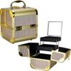 Ver Beauty De Ct. Vecchia Train Makeup Case Makeup Artist Case, Holographic Silver view 1
