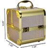 Ver Beauty De Ct. Vecchia Train Makeup Case Makeup Artist Case, Holographic Silver view 3