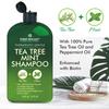 First Botany Tea Tree Mint Shampoo & Conditioner for Men & Women - Pure Tea Tree & Peppermint Oil - Fights Hair Loss, Dandruff, Lice & Itchy Scalp, Promotes Hair Growth - Sulfate Free - 16 Fl Oz x 2 view 3