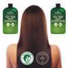 First Botany Tea Tree Mint Shampoo & Conditioner for Men & Women - Pure Tea Tree & Peppermint Oil - Fights Hair Loss, Dandruff, Lice & Itchy Scalp, Promotes Hair Growth - Sulfate Free - 16 Fl Oz x 2 view 4