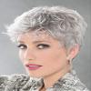 Dot Wig Petite Avg Cap Color Silver Grey Mix - Ellen Wille Wigs 2.5" Short Soft Layers Timeless Synthetic Monofilament Crowne Tapered Neckline Wefted Cap Elements Bundle MaxWigs Hairloss Booklet view 1