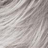 Dot Wig Petite Avg Cap Color Silver Grey Mix - Ellen Wille Wigs 2.5" Short Soft Layers Timeless Synthetic Monofilament Crowne Tapered Neckline Wefted Cap Elements Bundle MaxWigs Hairloss Booklet view 2