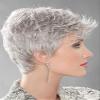 Dot Wig Petite Avg Cap Color Silver Grey Mix - Ellen Wille Wigs 2.5" Short Soft Layers Timeless Synthetic Monofilament Crowne Tapered Neckline Wefted Cap Elements Bundle MaxWigs Hairloss Booklet view 4