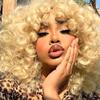 Divine Hair Short Afro Curly Wigs for Black Women Full Synthetic Natural Curly Wavy blonde Curly Wig With Bangs Heat Resistant Wigs for Daily Use view 1