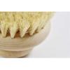 Andre Jardin Large Body Brush - Beech, Unique view 3