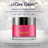 SNS Nail Dip Powder, Gelous Color Dipping Powder - Salon & DIY Nail Art view 2