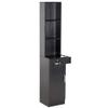 BarberPub Wall Mount Barber Station Hair Styling Drawer Storage Beauty Salon Spa Equipment 3208 (Black) view 1