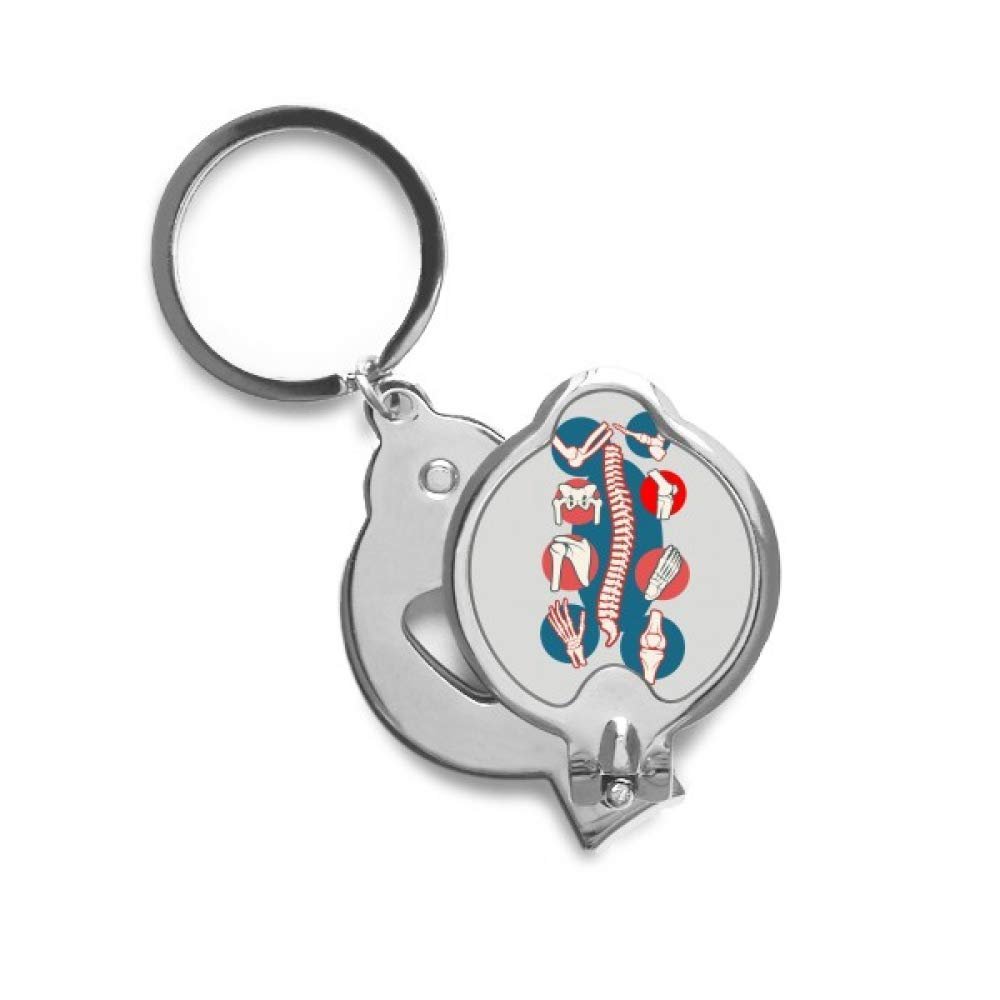 Vertebral Body Joint Illustration Finger Nail Clippers Scissor Stainless Steel Cutter