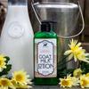 Bates Family Farm Goat Milk, Essential Oil, and Shea Butter Lotion 8 oz (Peppermint) view 2