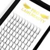 6D-C-0.10-9-16mix Long Stem Premade Fans Eyelash Extensions - Volume Lash Extensions with C & D Curl view 1
