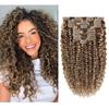 Clip in Human Hair Extensions Afro Jerry Curly 3B 3C Real Hair Clip in Extensions For Black Women Natural Black Color 100% Brazilian African American Hair Extensions (14 inch, Jerry Curly #P4/27) view 1