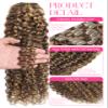 Clip in Human Hair Extensions Afro Jerry Curly 3B 3C Real Hair Clip in Extensions For Black Women Natural Black Color 100% Brazilian African American Hair Extensions (14 inch, Jerry Curly #P4/27) view 2