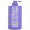 ALPHA NEW YORK Conditioner Color Protect Daily Hair repair Chia Seed 100% sulfate & Paraben Free 1000ml view 2