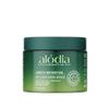ALODIA Deep Conditioning Masque, 12 oz - Nourish & Hydrate with Avocado Oil & Peppermint Oil - Deep Conditioner for Curly Hair - Hair Mask for Scalp & Hair Health view 1