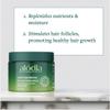 ALODIA Deep Conditioning Masque, 12 oz - Nourish & Hydrate with Avocado Oil & Peppermint Oil - Deep Conditioner for Curly Hair - Hair Mask for Scalp & Hair Health view 4