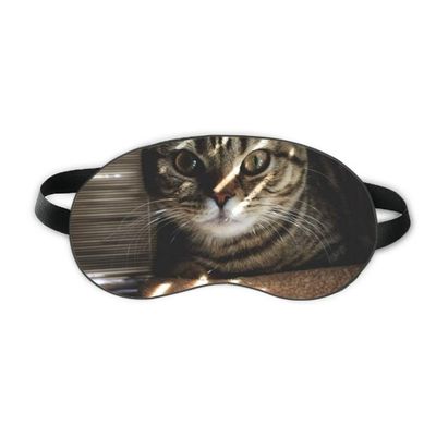 Animal Cat Ray Photograph Shoot Sleep Eye Shield Soft Night Blindfold Shade Cover