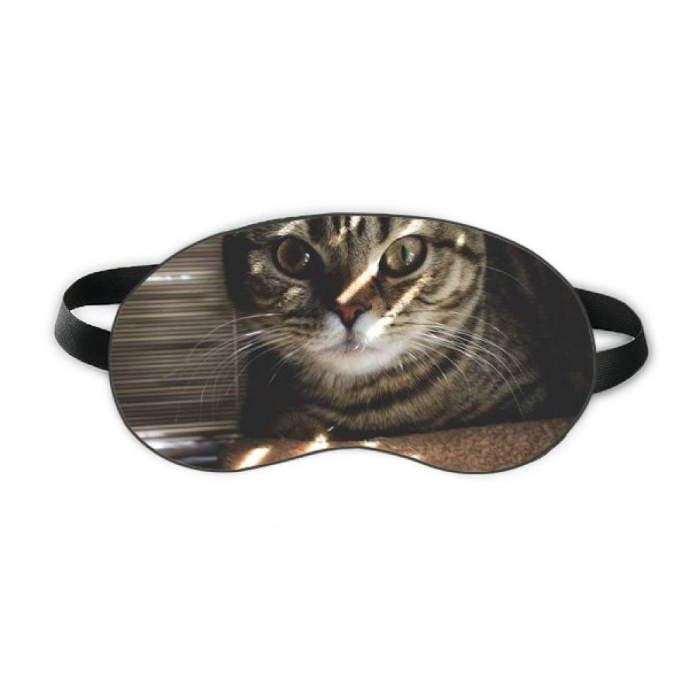Animal Cat Ray Photograph Shoot Sleep Eye Shield Soft Night Blindfold Shade Cover