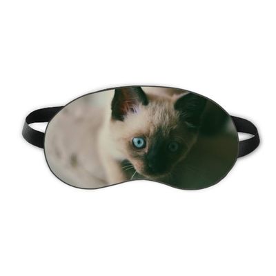 Animal Blue Eye Kitten Gray Photograph Sleep Eye Shield Soft Night Blindfold Shade Cover