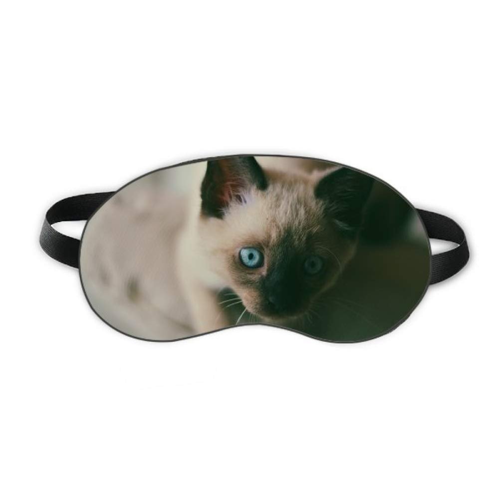 Animal Blue Eye Kitten Gray Photograph Sleep Eye Shield Soft Night Blindfold Shade Cover