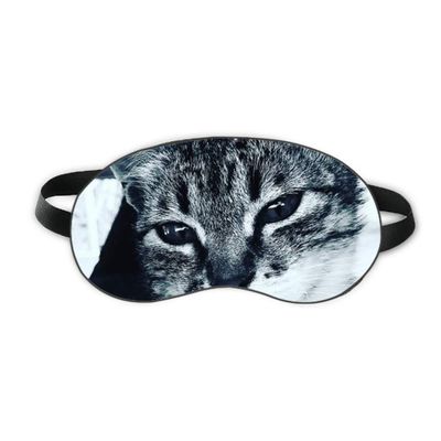 Animal Cool Gray Cat Photograph Sleep Eye Shield Soft Night Blindfold Shade Cover