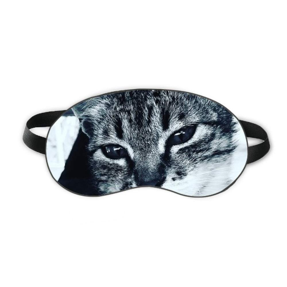 Animal Cool Gray Cat Photograph Sleep Eye Shield Soft Night Blindfold Shade Cover