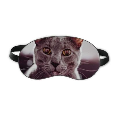 Animal Big Eye Gray Cat Photograph Sleep Eye Shield Soft Night Blindfold Shade Cover