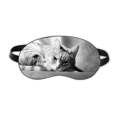 Animal Pure Gray Cat Photograph Picture Sleep Eye Shield Soft Night Blindfold Shade Cover