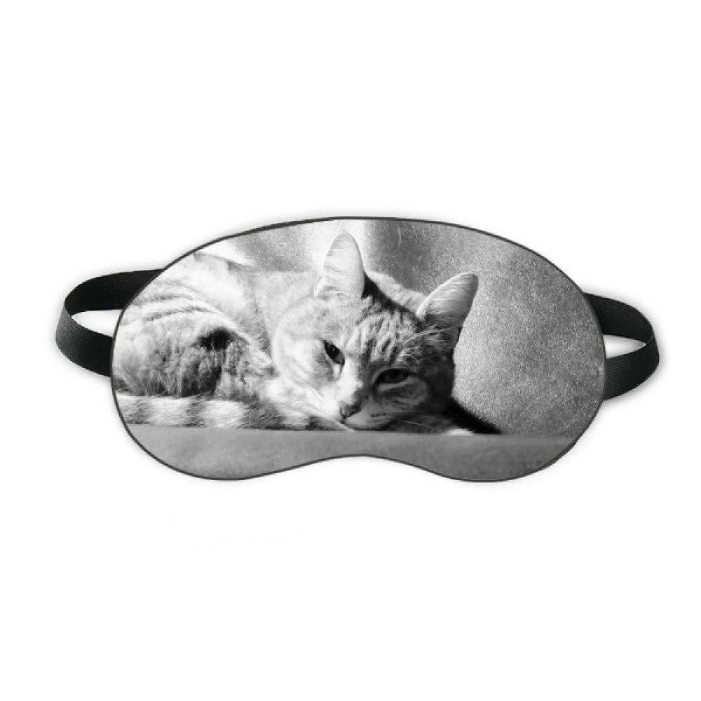 Animal Pure Gray Cat Photograph Picture Sleep Eye Shield Soft Night Blindfold Shade Cover