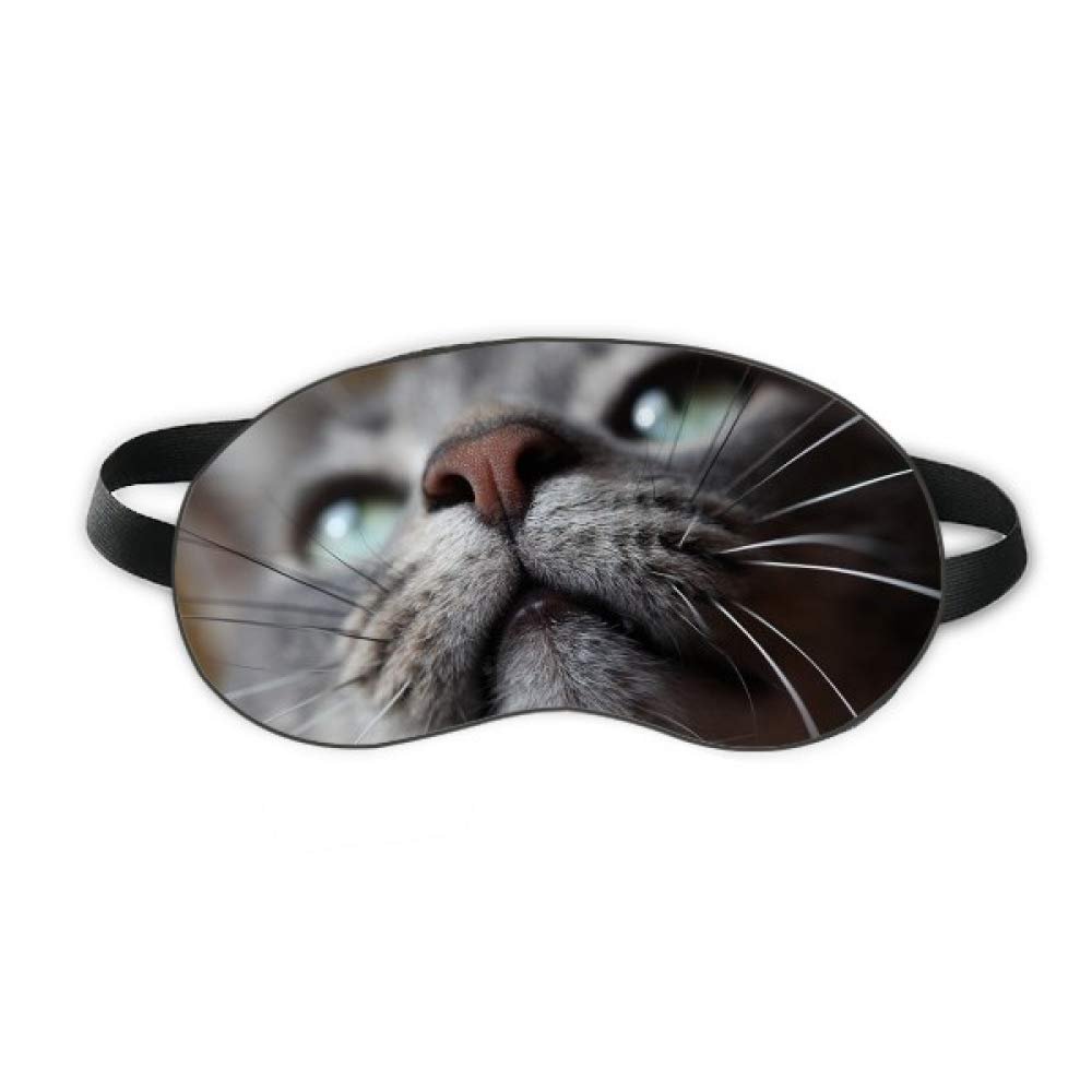 Animal Looking Up Cat Photograph Sleep Eye Shield Soft Night Blindfold Shade Cover