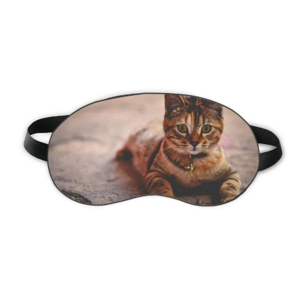 Animal Quiet Cat Photograph Sleep Eye Shield Soft Night Blindfold Shade Cover
