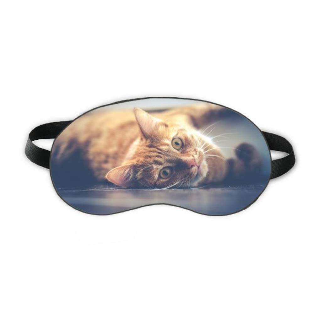 Animal Yellow Cat Photograph Picture Sleep Eye Shield Soft Night Blindfold Shade Cover