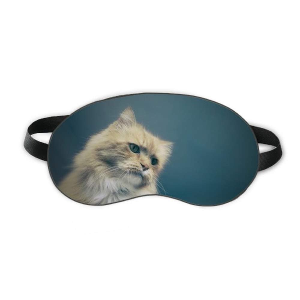 Animal Blue Cat Photograph Shoot Sleep Eye Shield Soft Night Blindfold Shade Cover