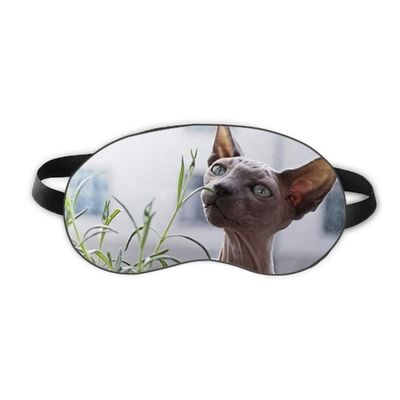 Animal Gray Thin Cat Photograph Sleep Eye Shield Soft Night Blindfold Shade Cover