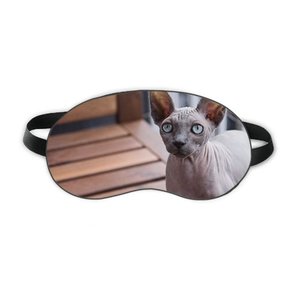 Animal Big Ear Cat Photograph Shoot Sleep Eye Shield Soft Night Blindfold Shade Cover