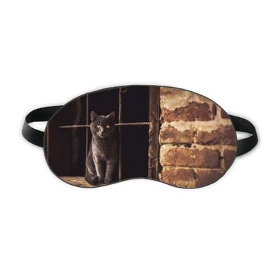 Animal Corner Cat Photograph Picture Sleep Eye Shield Soft Night Blindfold Shade Cover