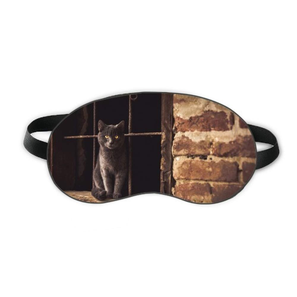 Animal Corner Cat Photograph Picture Sleep Eye Shield Soft Night Blindfold Shade Cover