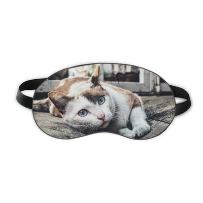 Animal Colorful Cat Photograph Picture Sleep Eye Shield Soft Night Blindfold Shade Cover