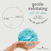 Temple Spring Recycled Luffa Sponge, Bathroom Shower Accessories, Loofa Bath Sponge, Exfoliating Body Scrubber Exfoliator Pouf, Shower Scrubber Puff, Poof, Loofah for Women, Loofah for Men -Ocean Blue view 2