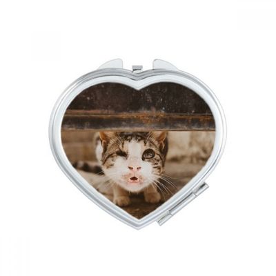 Animal Funny Cat Photograph Shoot Heart Mirror Travel Magnification Portable Handheld Pocket Makeup