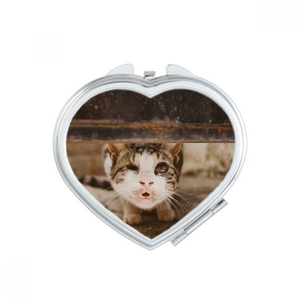 Animal Funny Cat Photograph Shoot Heart Mirror Travel Magnification Portable Handheld Pocket Makeup