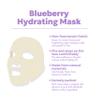FRUDIA Blueberry Hydrating Mask Sheets (10 Pack), Korean Face Masks with 55% Blueberry Extract, Vegan Panthenol & WS BS Care EX for Deep Moisturizing & Soothing Skin view 3