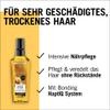 Gliss Kur Hair Oil Daily Oil Elixir (75 ml), Hair Oil for Dry Hair Nourishes and Refines Hair Without Oily Residue, Contains Argan Oil and Vitamin E view 3