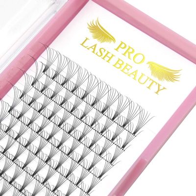 Premade Volume Eyelash Extensions 8D-D-0.07-13 Short Stem Premade Fans Eyelash Extensions 9 to 20 mm Volume Lash Extensions .07 .10 Pre made Lash Fans C D Curl (8D-D-0.07,13mm)
