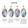 Lindsay Cool Tea Tree Rubber Modelling Mask | Natural Korean Water Rubber Mask | Chemical Free | Clean Beauty view 4