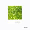 Hemway Premium Ultra Sparkle Glitter Multi Purpose Metallic Flake for Arts Crafts Nails Cosmetics Resin Festival Face Hair - Lime Green - Super Chunky (1/8" 0.125" 3mm) 100g / 3.5oz view 2