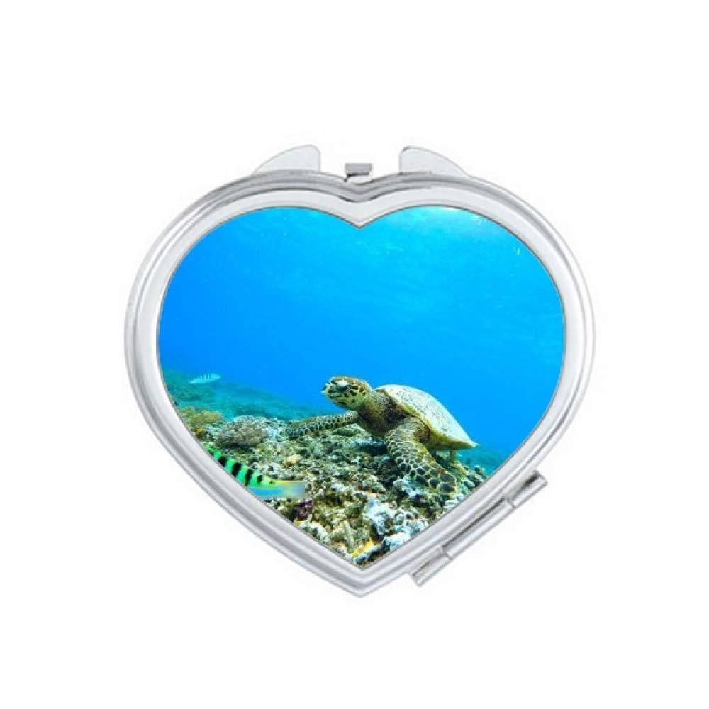 Ocean Sea Turtle Fish Science Nature Picture Mirror Travel Magnification Portable Handheld Pocket Makeup