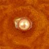 Beer Bath Bombs Pack of 10 view 4
