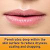 Neosporin Lip Health Overnight Renewal Therapy White Petrolatum Lip Protectant/Moisturizer to Nourish & Repair Dry Lips, Helps Relieve, Prevent & Protect Chapped Lips, 0.27 oz, 2 Pack view 4